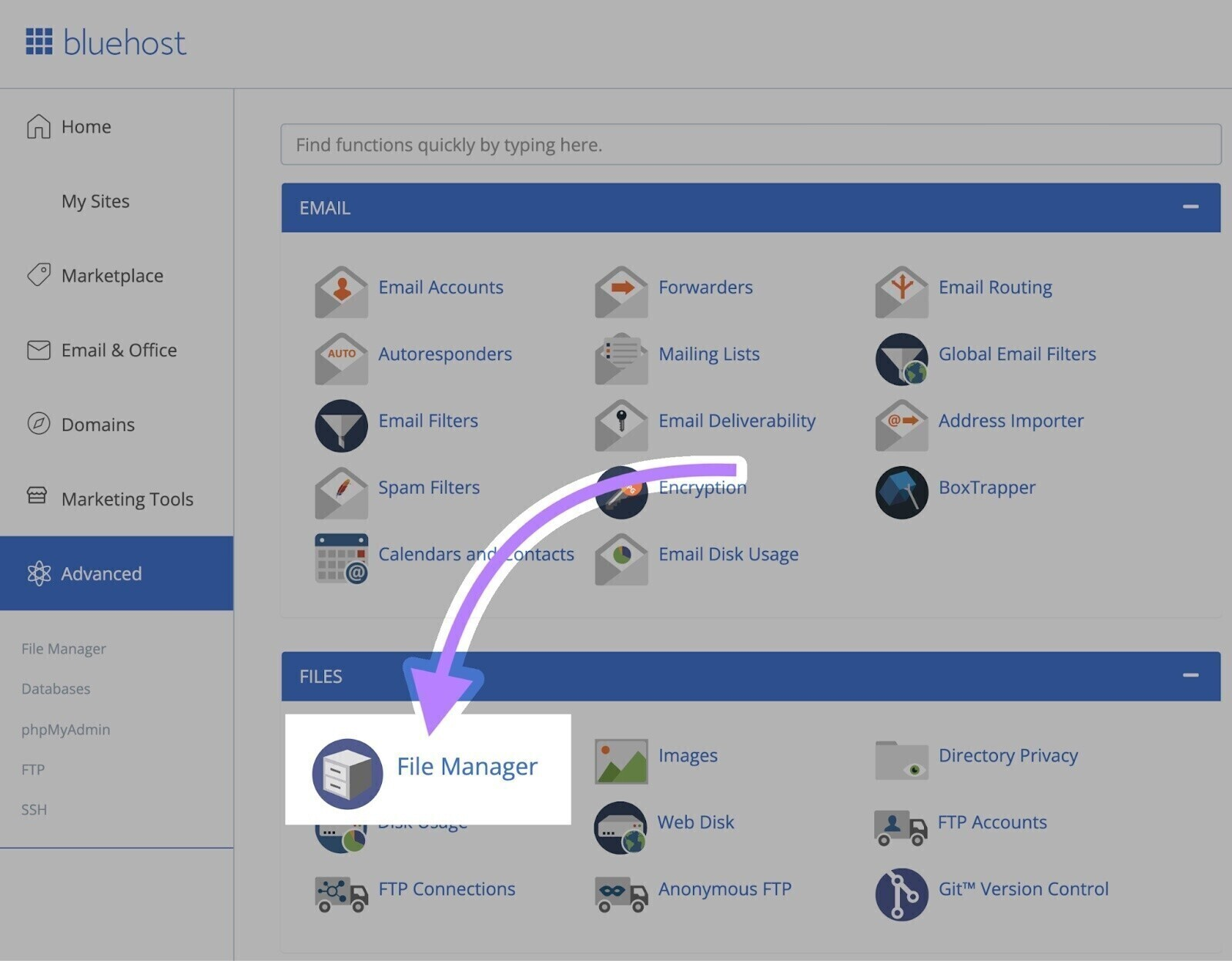 "File Manager" clicked on cPanel.